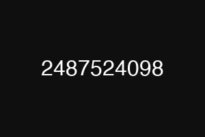 2487524098