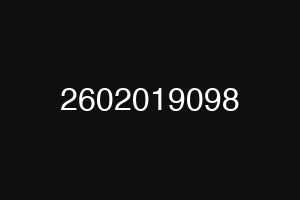 2602019098