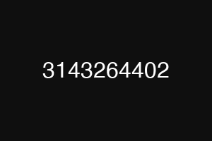 3143264402