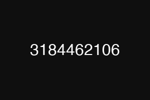 3184462106