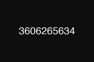3606265634
