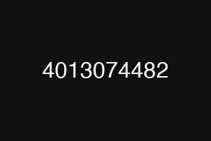 4013074482