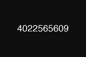4022565609