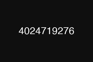 4024719276