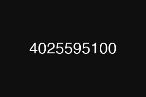 4025595100