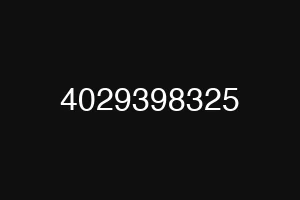 4029398325