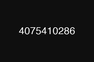 4075410286