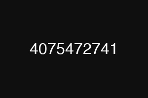 4075472741