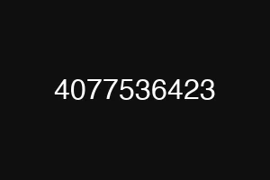 4077536423