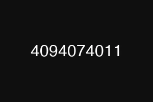 4094074011