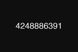 4248886391