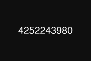 4252243980