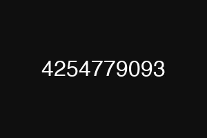 4254779093