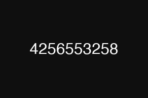4256553258