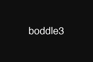 boddle3